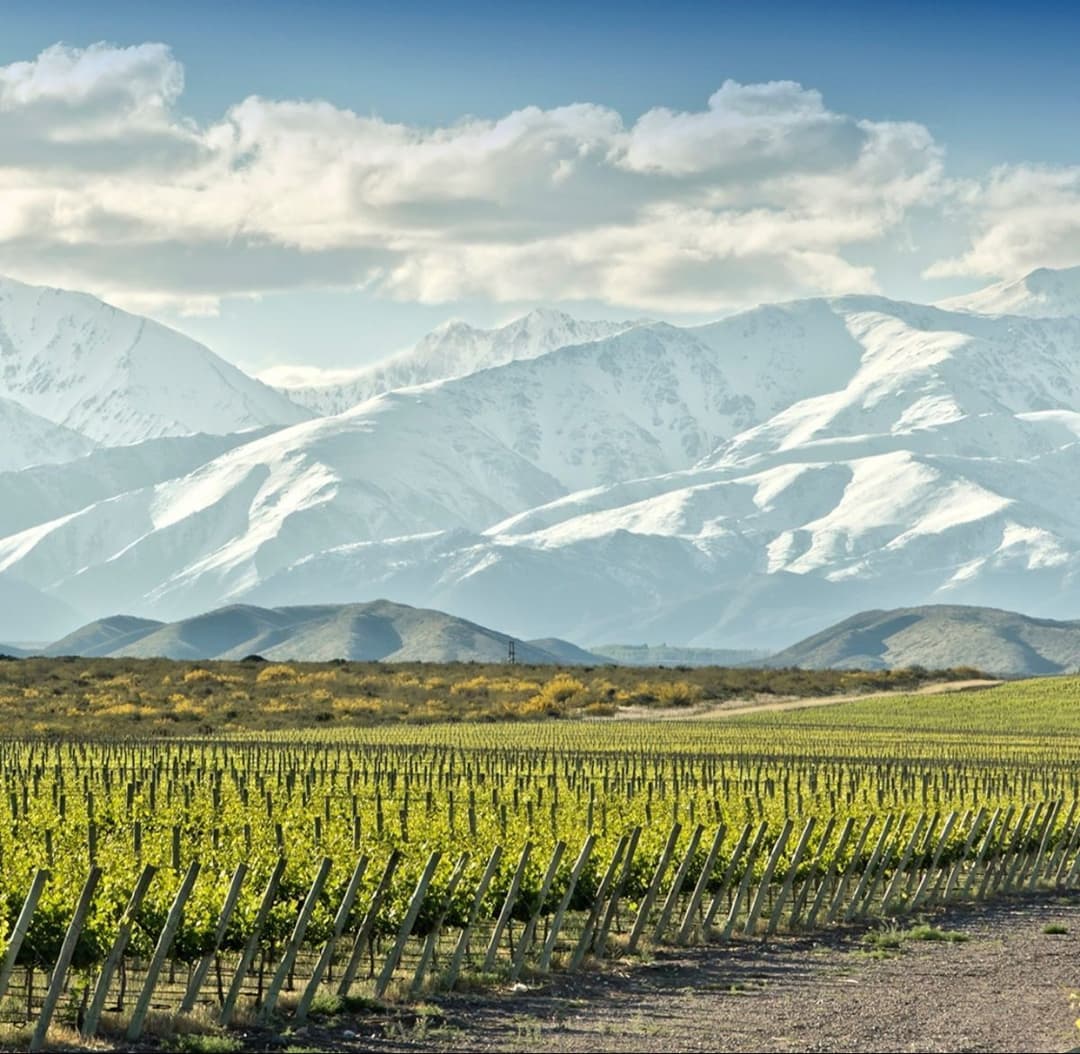 VALLE DE UCO